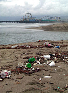 Trash accumulating on a beach in Santa Monica. Urban runoff, including plastics, heavy metals, and toxic chemicals, end up on our beaches and in our oceans, and cost California millions of dollars annually.
