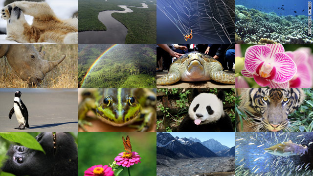 Just as biodiversity is crucial to ecological resilience, a diversity of ideas and solutions will be essential for overcoming socio-economic challenges and achieving sustainability.