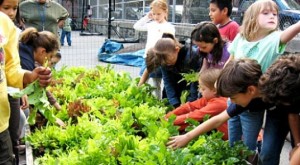 Teaching children how to grow fruits and vegetables allows them to connect with nature and feel a sense of pride in producing their own nutritious food.