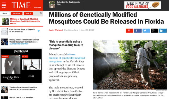 A recent article on the GM mosquitos in Time Magazine.
