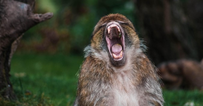 lewis-roberts-lbaBN1OOGQo-unsplash